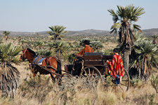 Argentina-Cordoba/Mendoza-Estancia & Paso Stud Farm at San Pedro Norte
